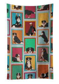 Lots of Bernese Mountain Dog Kitchen Towel Dish Cloths