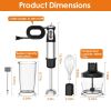 1000W 5 In 1 Immersion Hand Blender