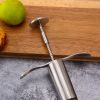 Cherry Pitter Seed Remover